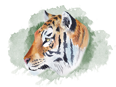 Wild tiger cat illustration jungle look marialetta mixed media tiger watercolor wip