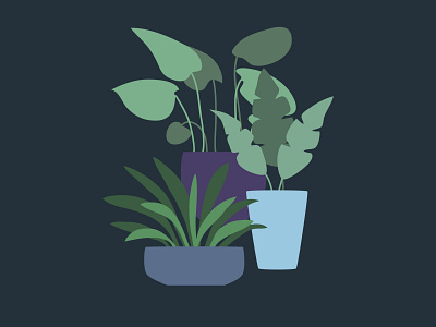 Plant Graphics