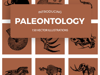 Paleontology Vintage Vector Illustrations animals bones bundle dinosaurs illustrations skull vector vintage