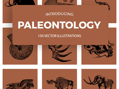 Paleontology Vintage Vector Illustrations