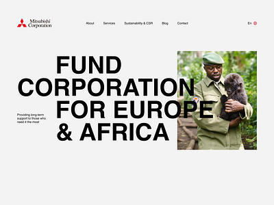 Africa fund of help - corporate web concept branding corporate logo typography ux webconcept