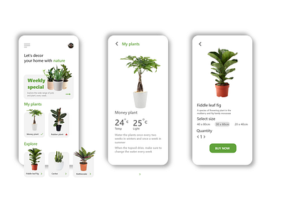 Plant app interface