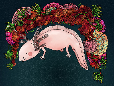 The Mighty Axolotl