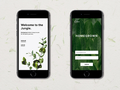 Concept - Homegrown App Login