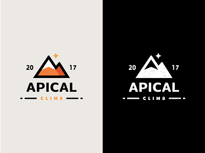 Apical Logo Mark badge brand branding climb crest logo mountain type