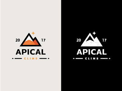 Apical Logo Mark