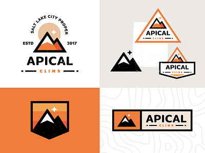 Apical Brand Element badge brand branding climb crest logo mountain type