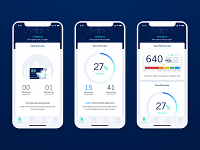 Lexington Law Overview app credit illustration mobile repair ui ux