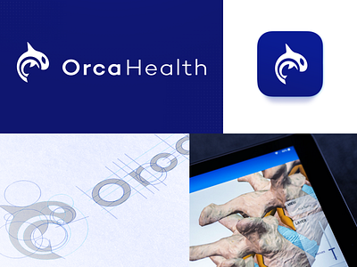 Orca Health Rebrand 2