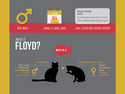 What about Floyd? cat floyd infographic