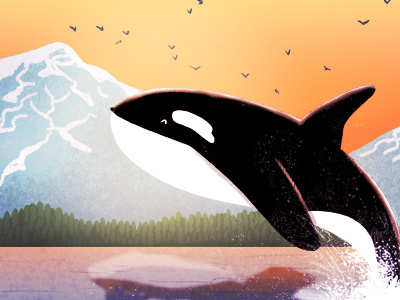 born to be wild art blackfish free illustration orca whale