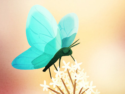 Papillon blue butterfly illustration