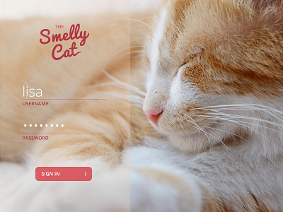 Daily UI 001 | Sign in app cat dailyui home login signin ui