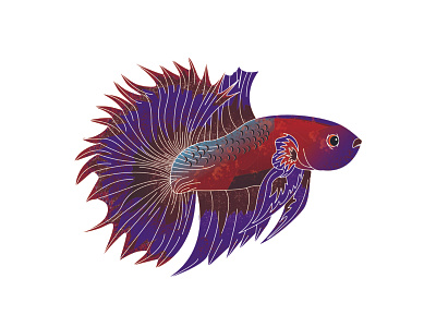Red Purple Betta Fish branding design feed instagran flat design illustration ilustrator logo logo design typography