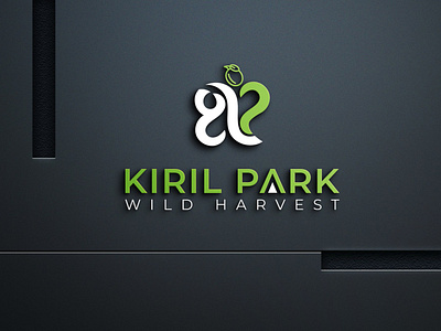 KP modern 3D logo / Branding