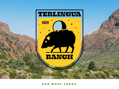 Terlingua Ranch branding design illustration logo texas vector