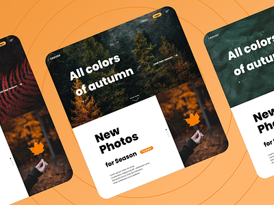 Photography Website Design autumn design flat nature orange web webdesign website