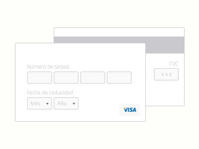 Minimalist credit card form credit card flat form inputs mastercard pay payform visa