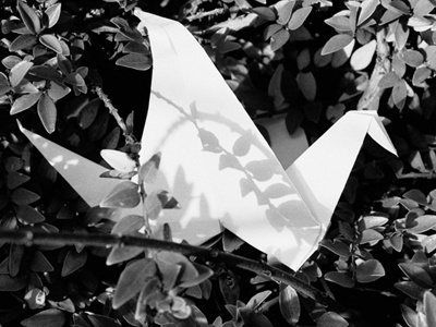 Flying Paper argentic black and white crane origami paper photography