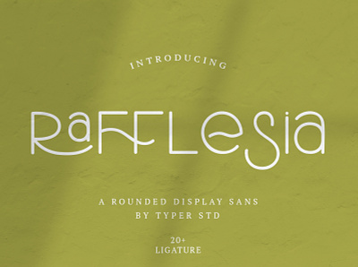 Rafflesia - Rounded Display Sans alternates branding design font font awesome font design graphicdesign ligature font minimal productdesign sans sans serif font typography