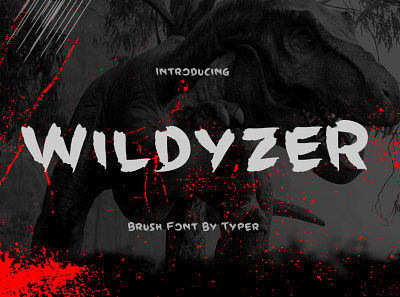 Wildyzer - Brush Font branding brush font design font font awesome font design font display graphic design graphicdesign grunge illustration logo merchandise productdesign texture typography vintage