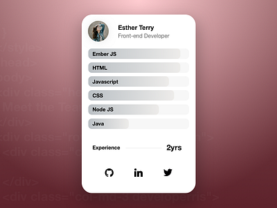 Profile developer portfolio profile programming