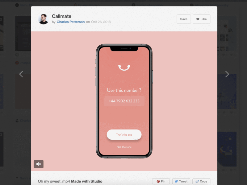 No sound in Dribbble video shot!