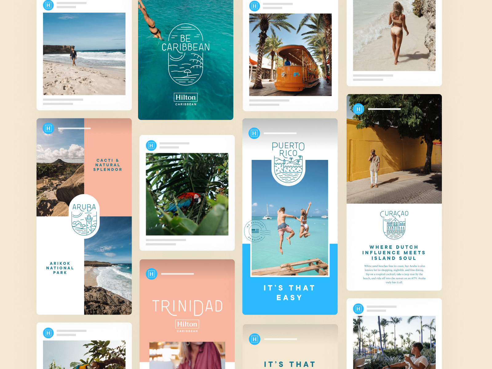 Hilton Caribbean by Guillaume Beaulieu for MamboMambo on Dribbble