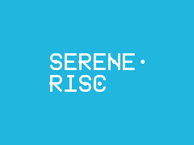 Serene-risc branding corporate cyber cybersecurity network organisation privacy risk techno technologic