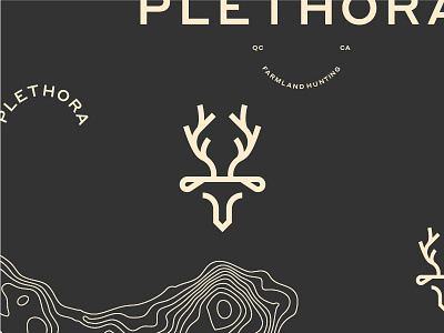 Plethora - Branding