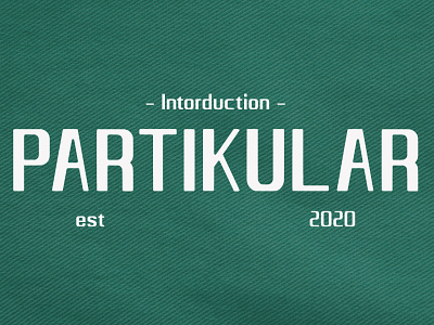 Partikular Font fonts