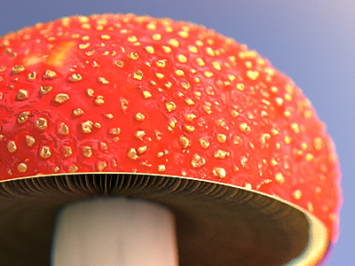 3D Mushroom Scene 3d c4d cinema 4d model mushroom nature outdoors red render