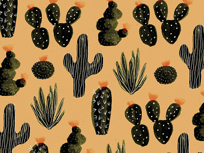 A few more cacti