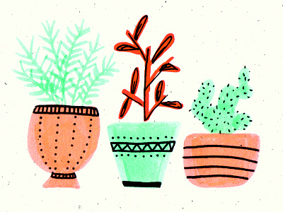 Plants In Pots color drawing illustration plants