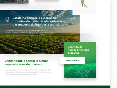 Prisma Brazil - Home details clean concept design export front-end front-end develop green layout page product ui ux web webdesign
