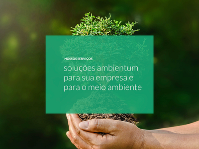 Ambientum - Website Design