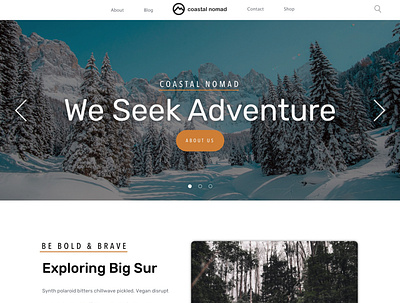 Adventure Company Landing Page adventure big sur landing page landing page ui uidesign website website builder