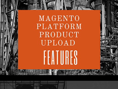 Features of Magento Platform Product Data Entry