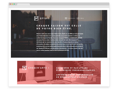 Efydis branding charte ecommerce logo store webdesign wordpress