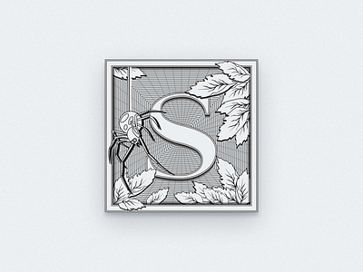 The "S" Initial graphic design icon design illustration illustrator vintage design