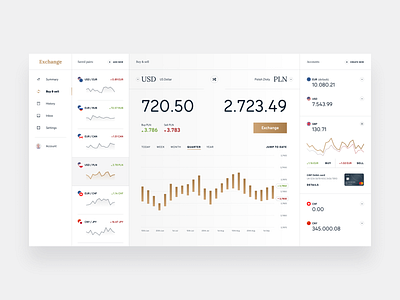 Currency Exchange - dashboard concept