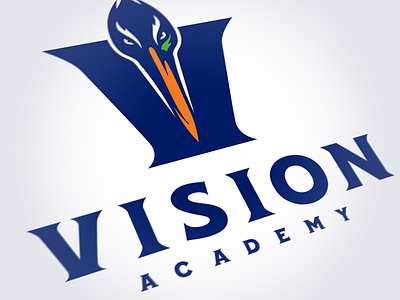 Vision Academy academy blue education green heron school sports vision