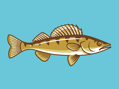 Walleye fish illustration pen walleye