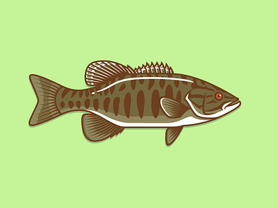 Smallmouth fish illustration vector