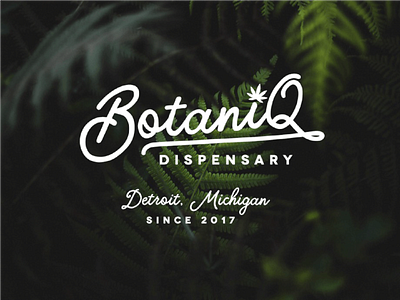 Botaniq Dispensary Logo Concept branding cannabis branding concept dispensary brand
