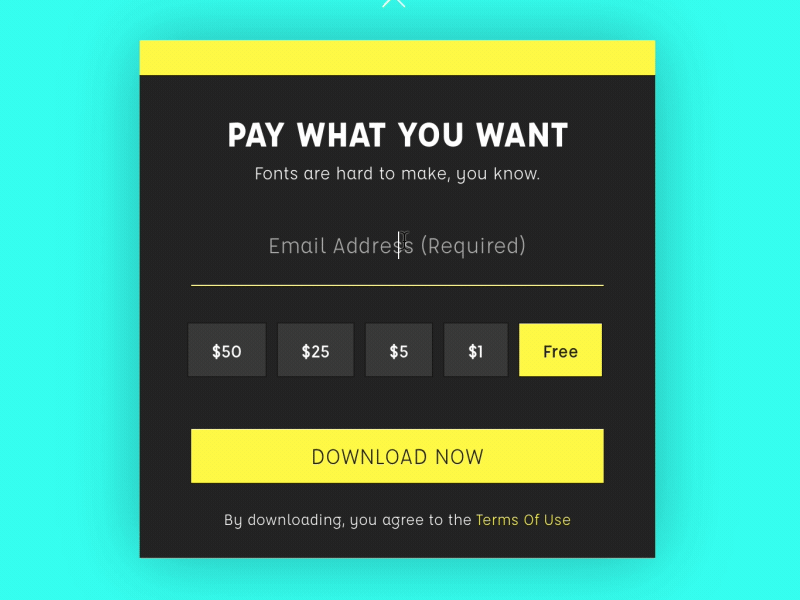 Pay What You Want animation credit card fields form interaction design interface motion stripe ux