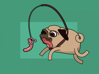 Infinite chase cycle dog pug run sausage