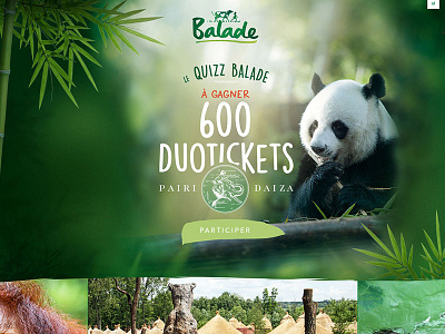 Balade Concours pairidaiza belgian boter contest panda