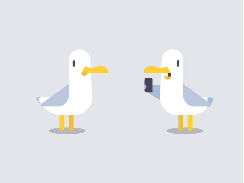 Sassy Seagulls character design illustration photograph pose sass seagull vector