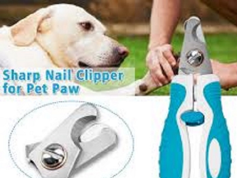 best dog nail clippers for labrador